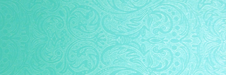 Barbed Wire and Lace | Turquoise