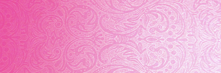 Barbed Wire and Lace | Pink
